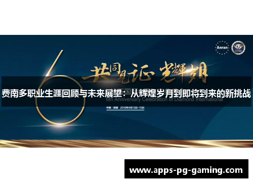 费南多职业生涯回顾与未来展望：从辉煌岁月到即将到来的新挑战
